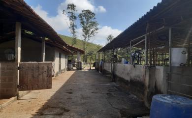 Sítio à venda com 4 quartos, 72000m² - Foto 12