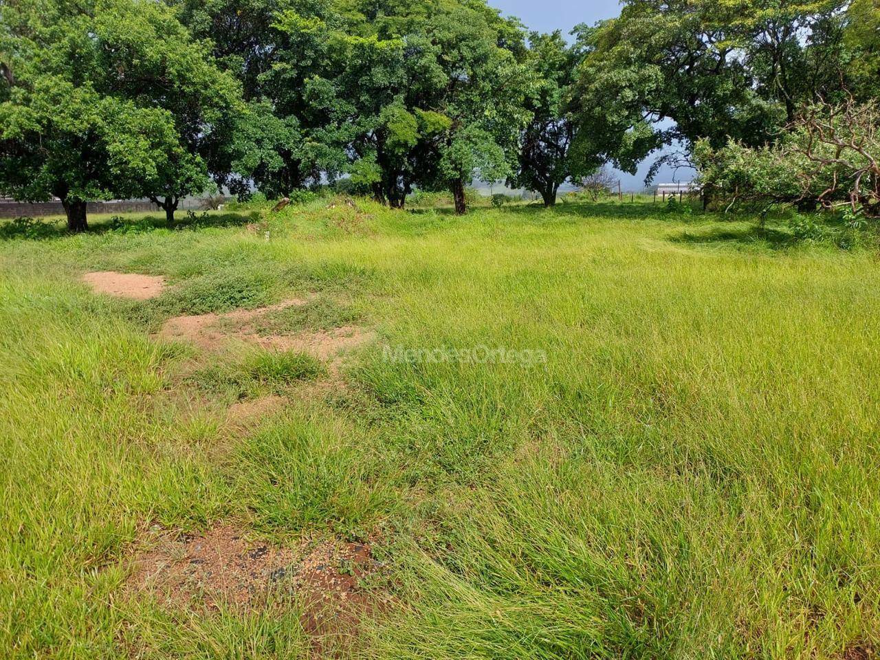 Terreno à venda, 17305M2 - Foto 5