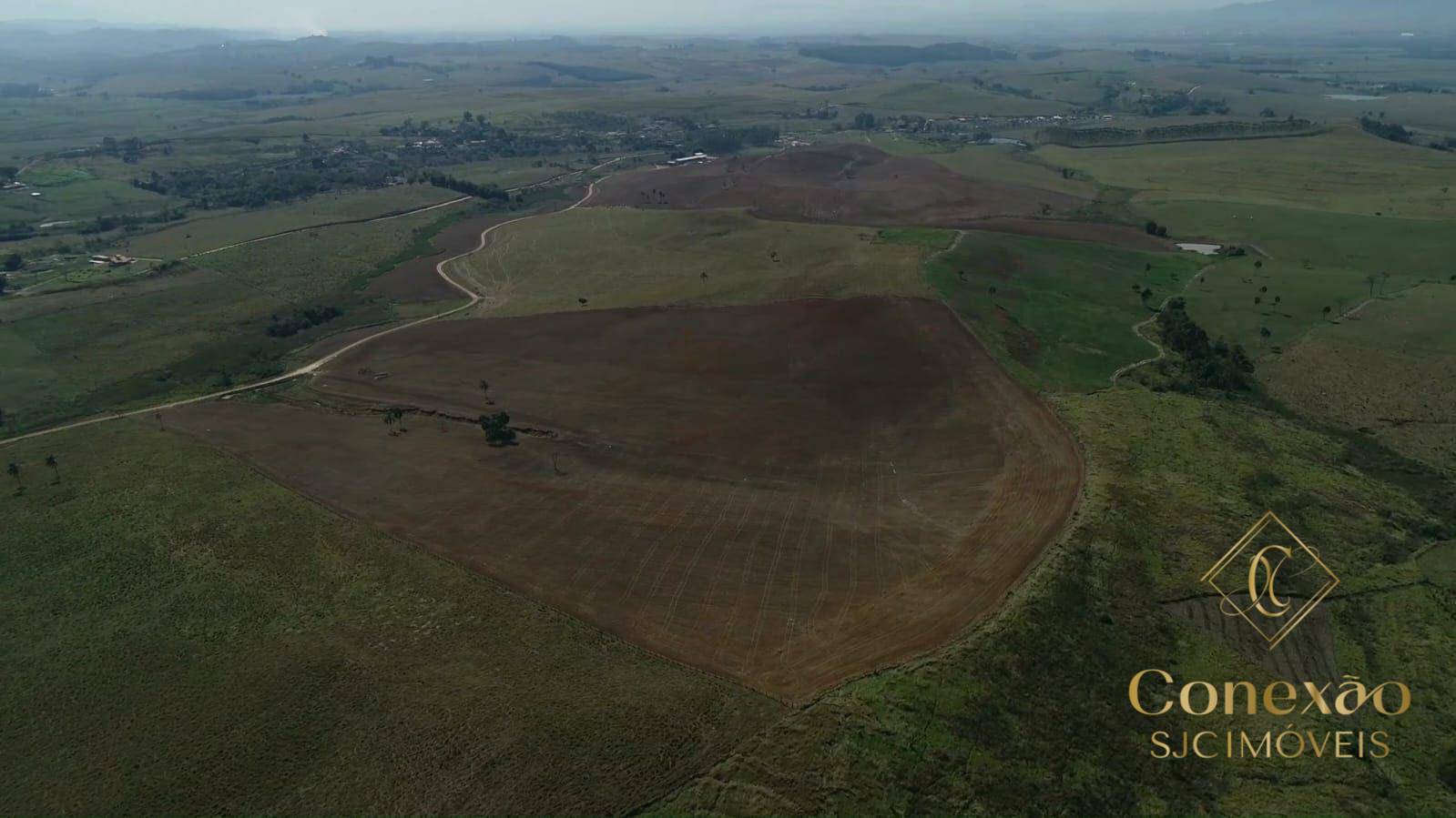 Fazenda, 257 hectares - Foto 3