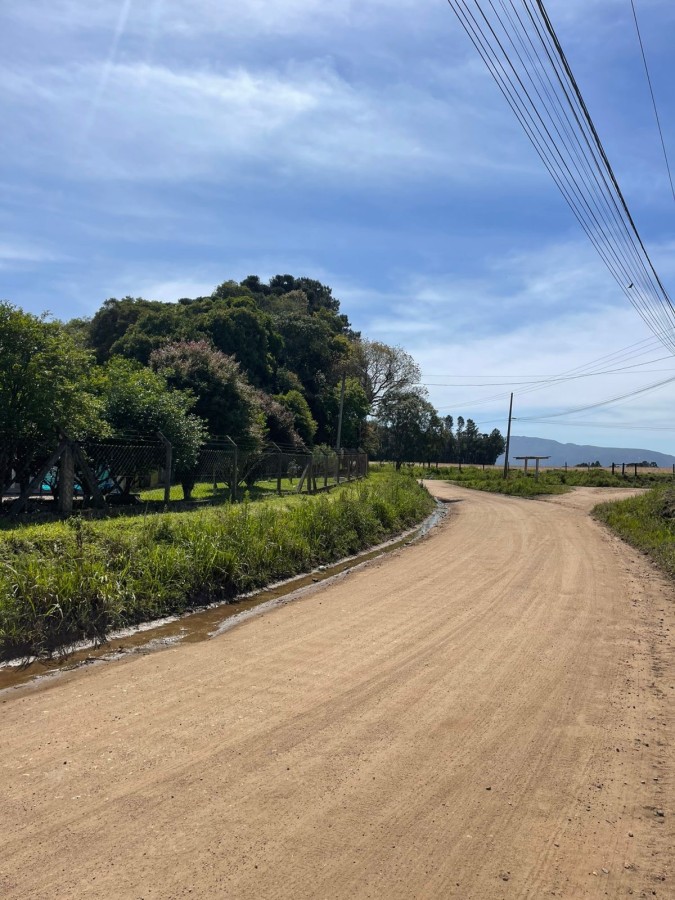 Chácara, 10000 m² - Foto 14