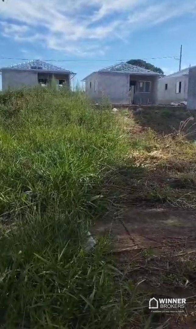 Terreno, 152 m² - Foto 3