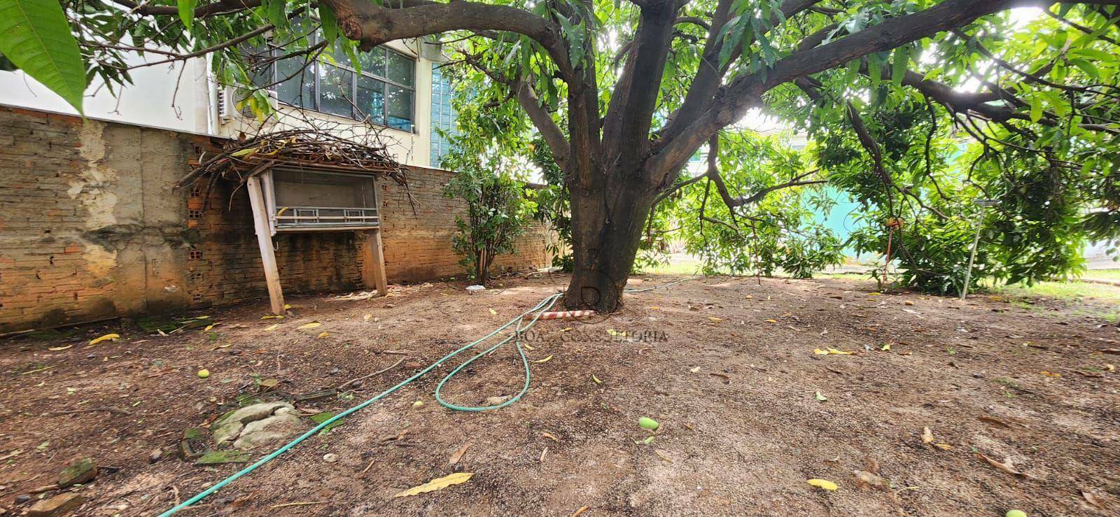 Terreno à venda, 800M2 - Foto 4