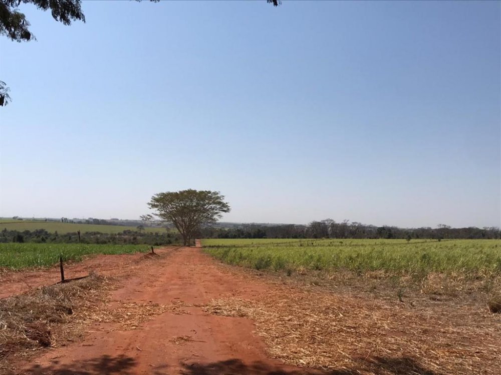 Fazenda, 373 hectares - Foto 4