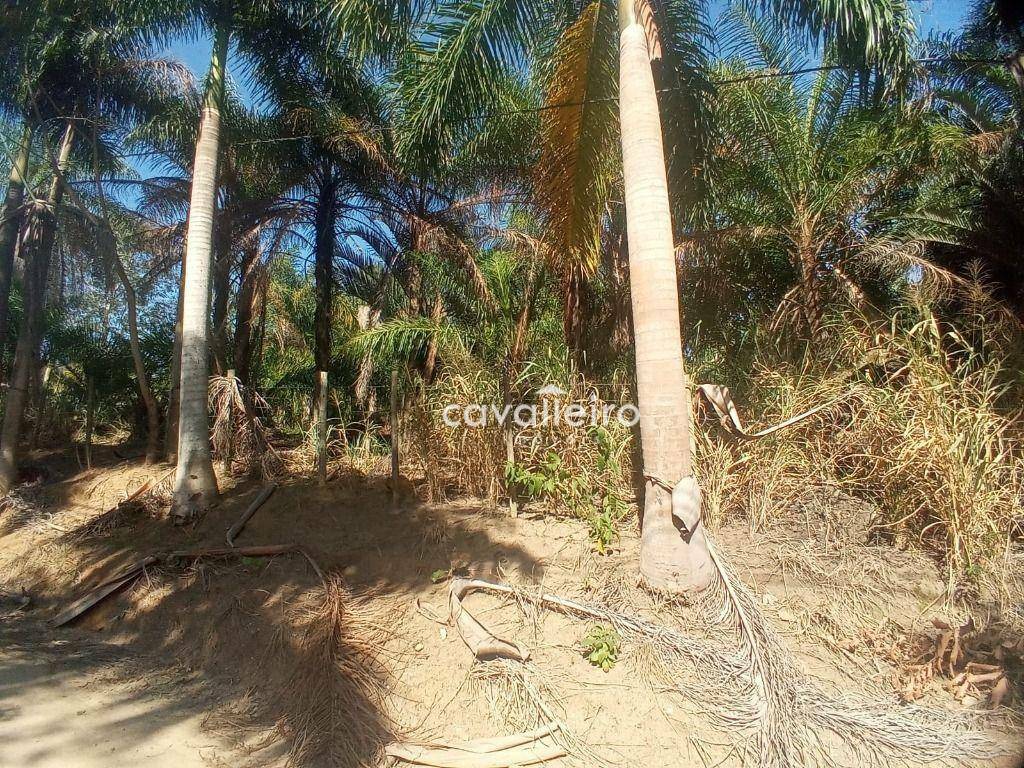 Terreno à venda, 2000M2 - Foto 2