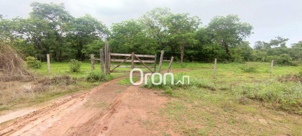 Fazenda à venda com 1 quarto, 2420000M2 - Foto 6