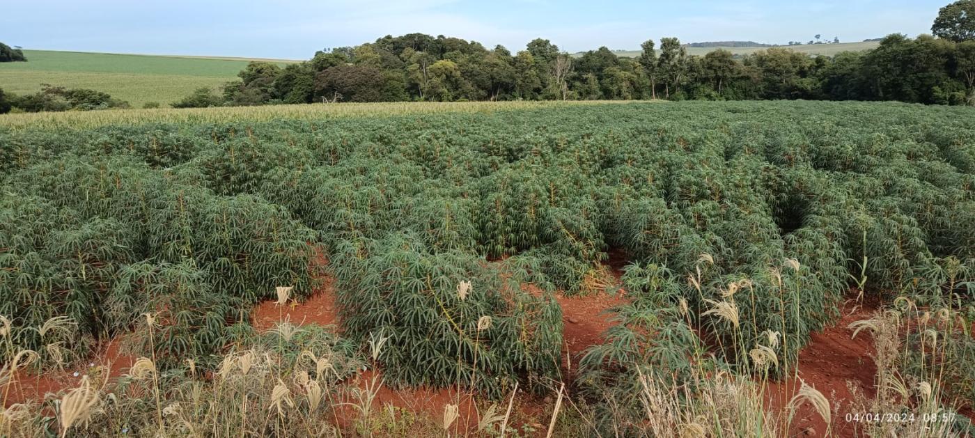 Fazenda à venda, 10000m² - Foto 1