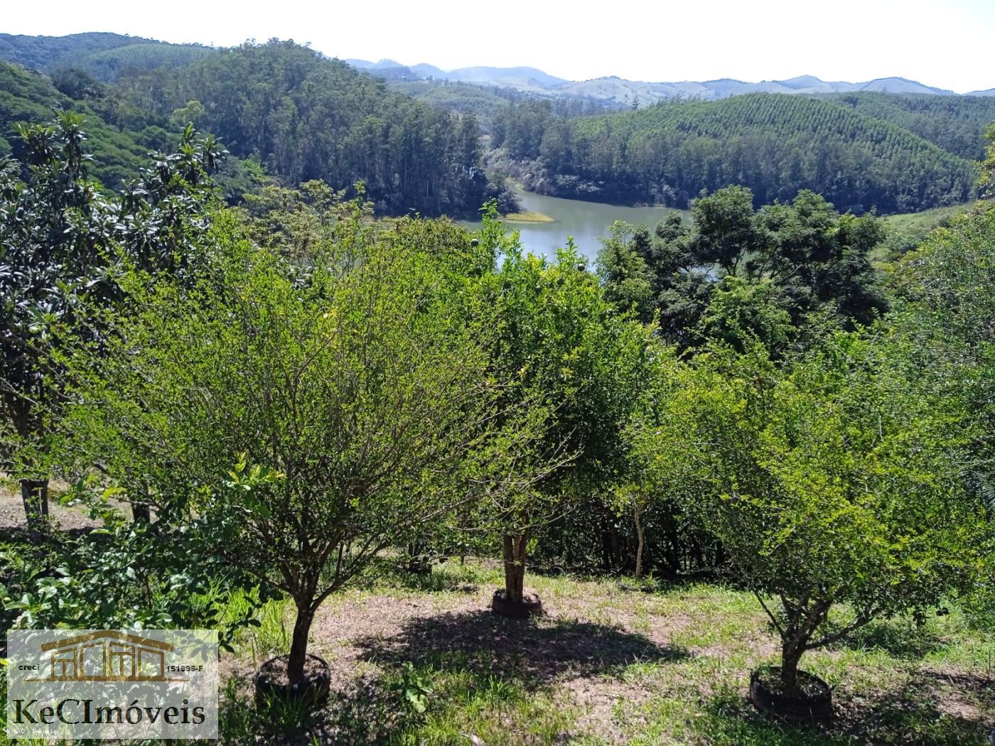 Fazenda à venda com 3 quartos, 12000m² - Foto 14