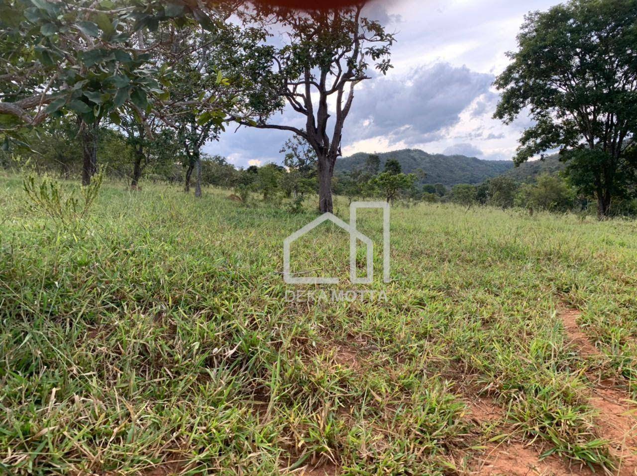 Fazenda à venda com 3 quartos, 21217700000M2 - Foto 21