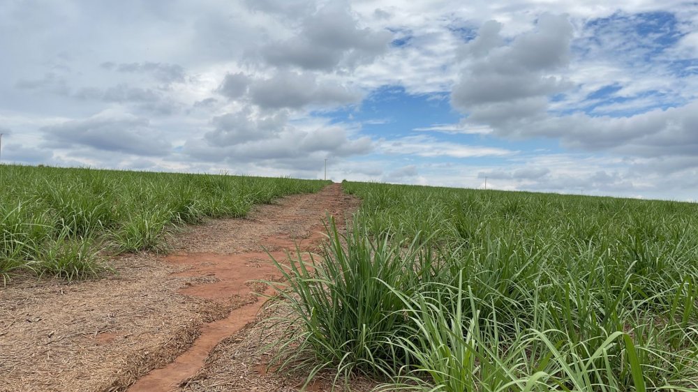 Fazenda à venda, 215m² - Foto 12