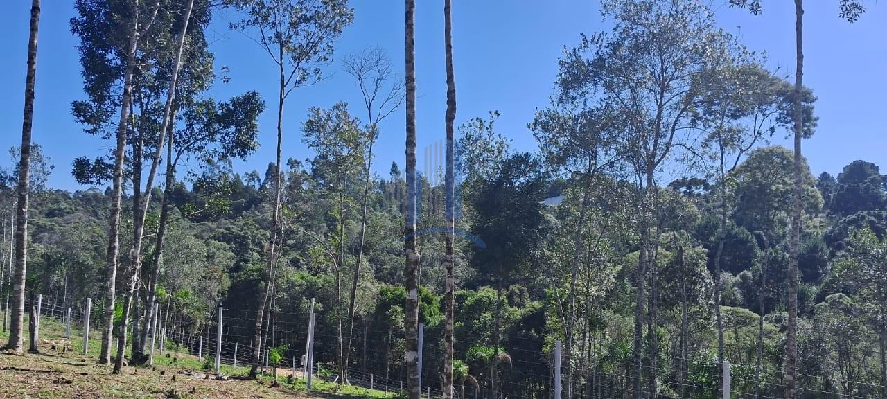 Chácara à venda, 5000m² - Foto 24