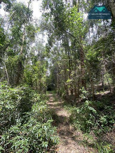 Terreno à venda, 96000M2 - Foto 4