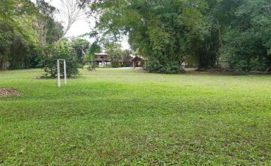 Fazenda à venda com 4 quartos, 15000m² - Foto 7