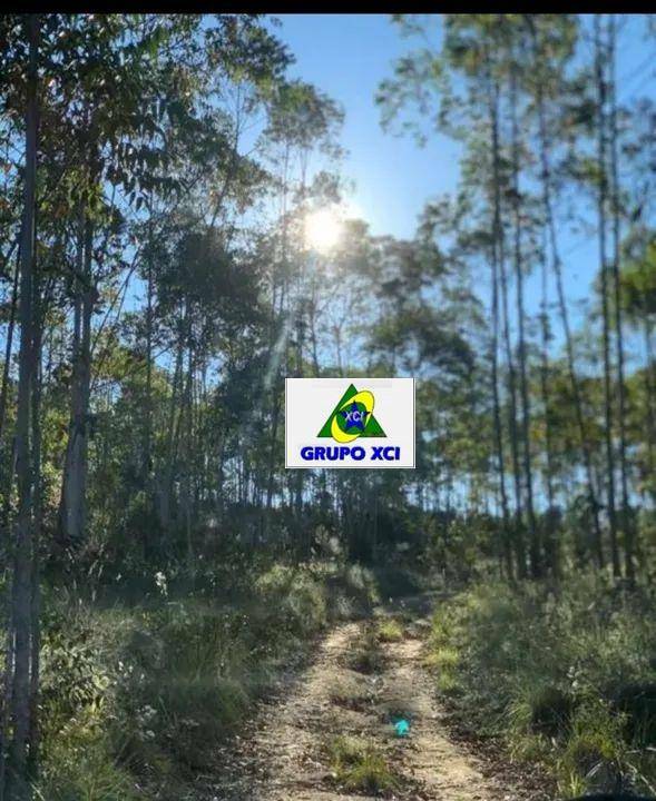 Fazenda à venda, 600000M2 - Foto 12