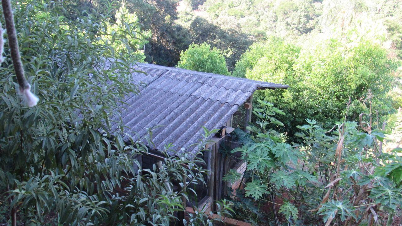 Fazenda à venda com 3 quartos, 7500m² - Foto 11