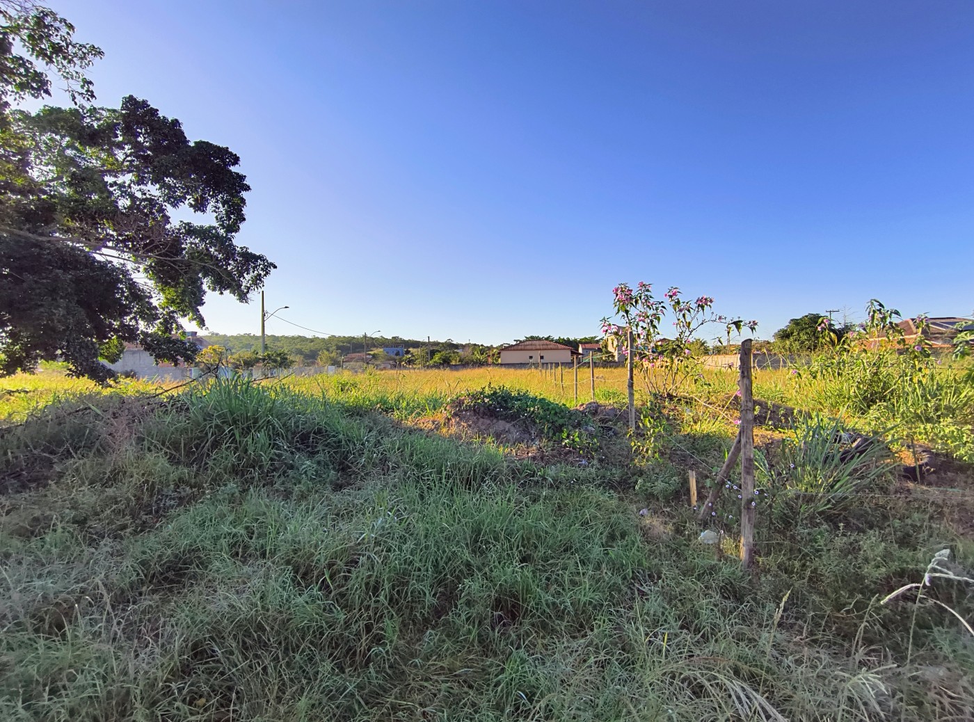 Terreno à venda, 450m² - Foto 6