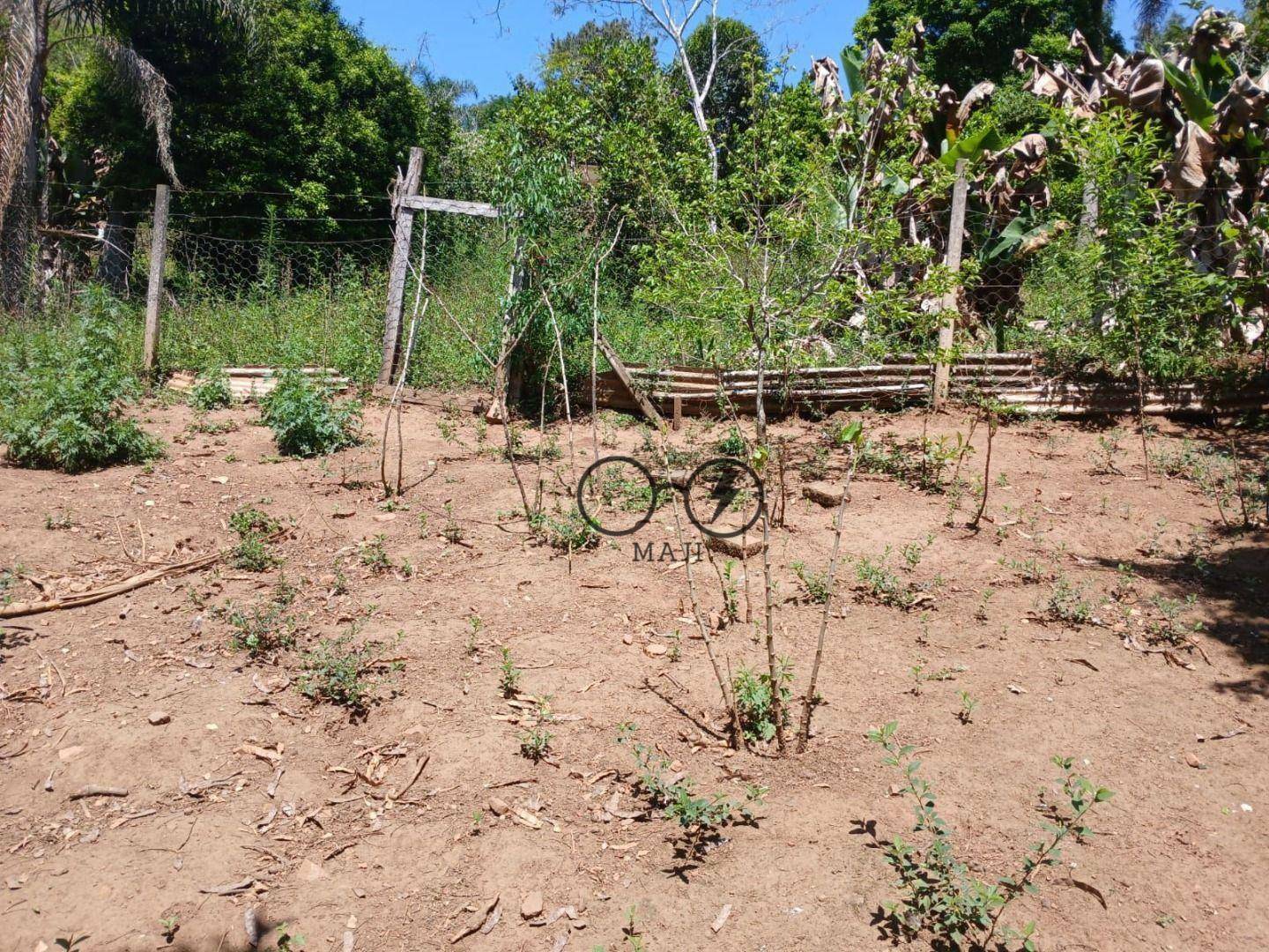 Chácara à venda com 3 quartos, 6500M2 - Foto 11