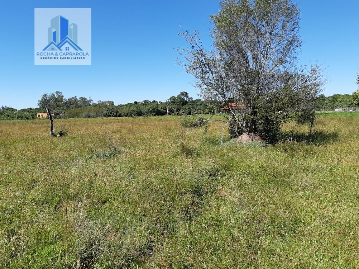 Fazenda à venda com 3 quartos, 6000m² - Foto 18