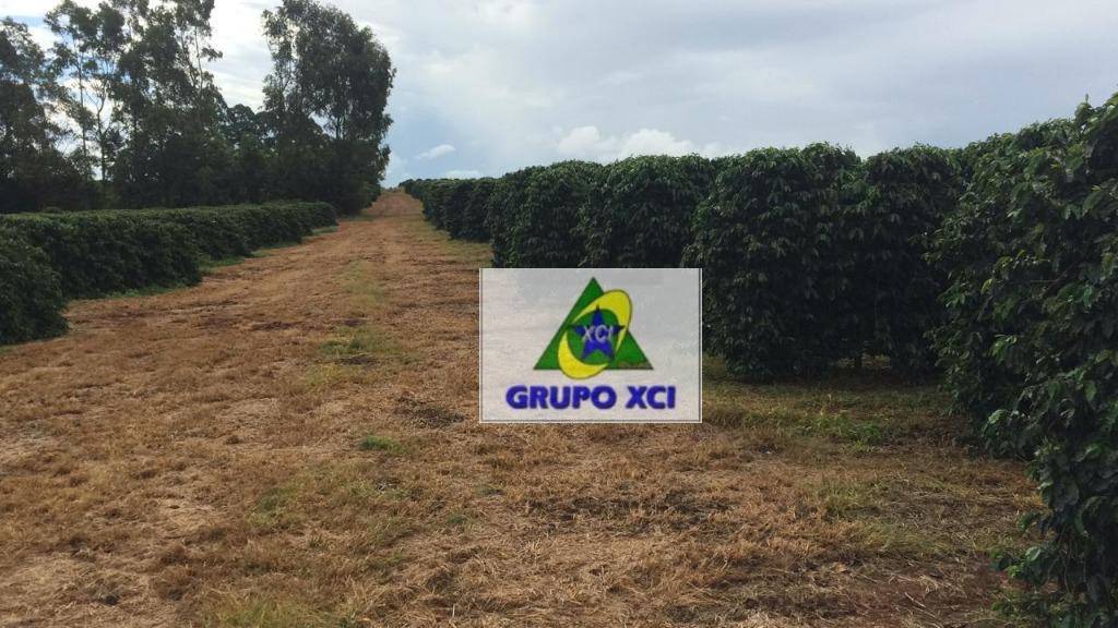 Fazenda-Sítio-Chácara, 101640 hectares - Foto 29