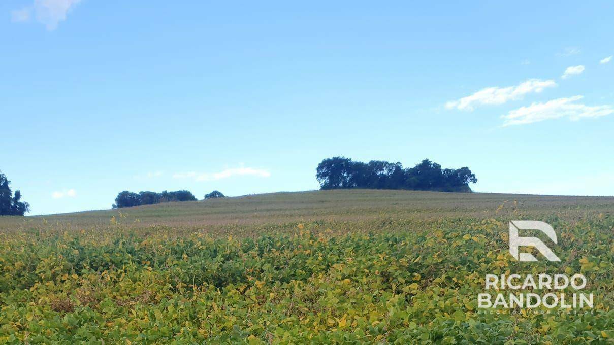 Fazenda à venda, 2057000M2 - Foto 8