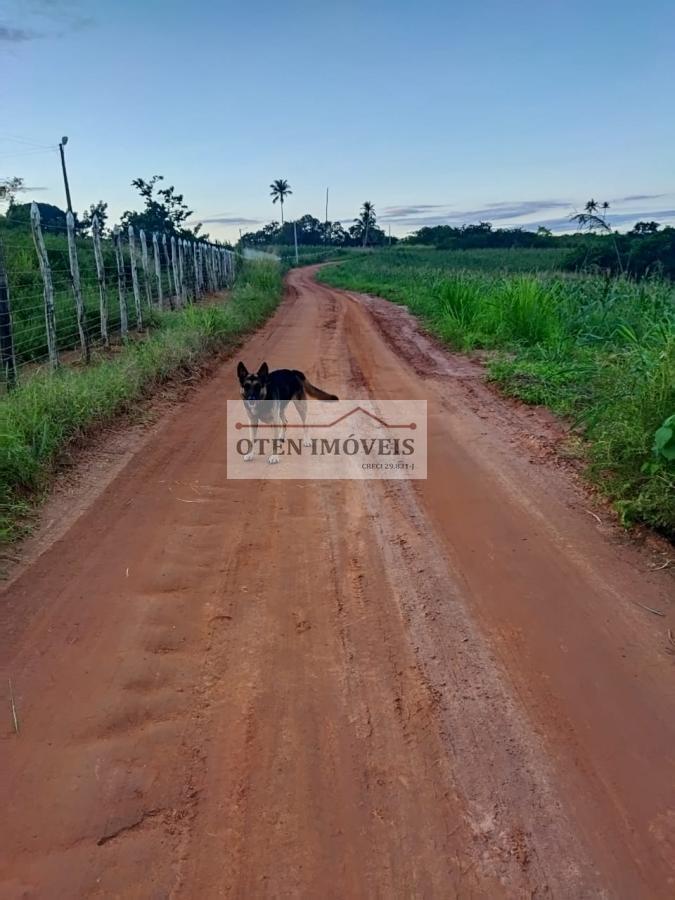 Terreno à venda, 18000m² - Foto 32