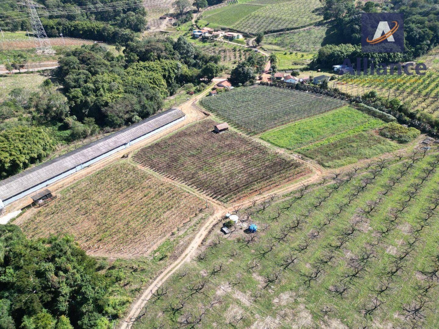 Terreno à venda, 27000M2 - Foto 5