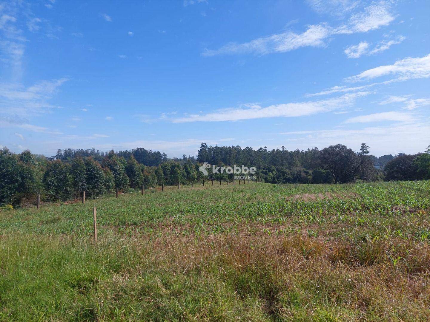 Terreno à venda, 8410M2 - Foto 2