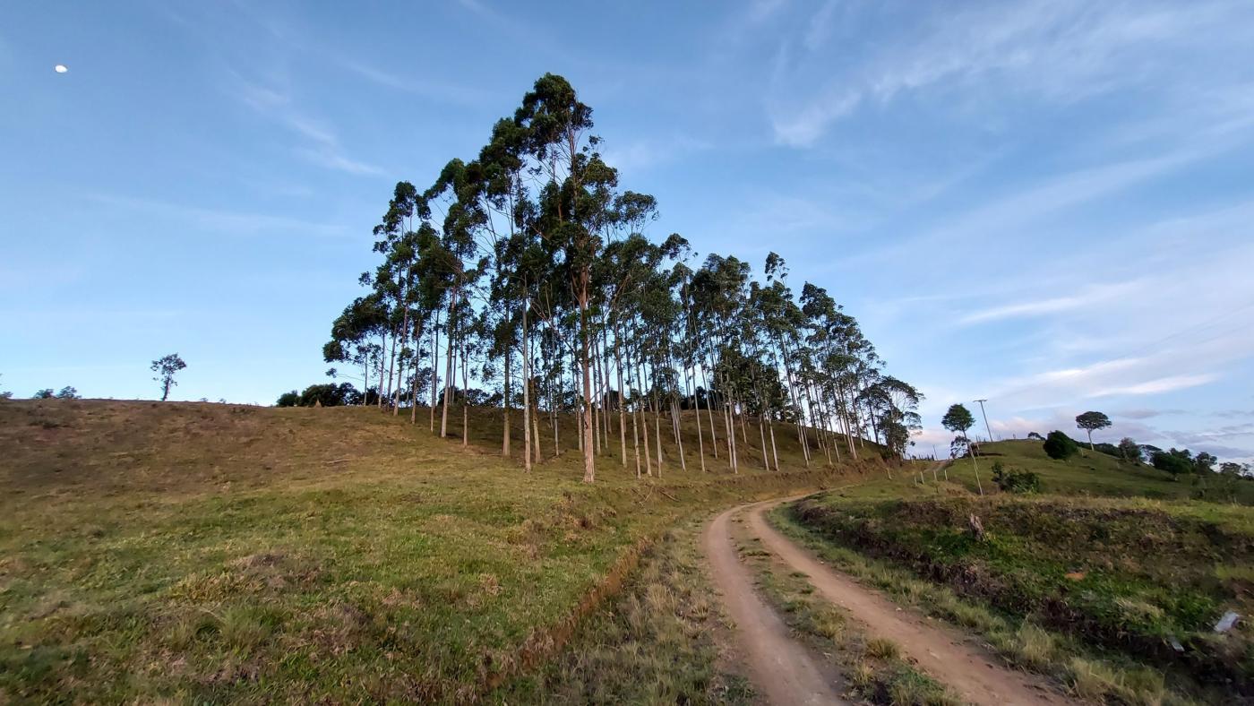 Fazenda à venda com 2 quartos, 862000m² - Foto 24