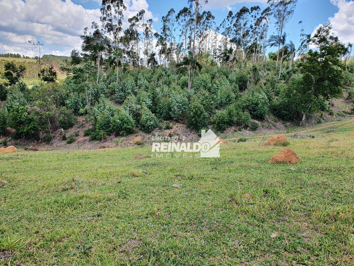 Terreno à venda, 36298M2 - Foto 7