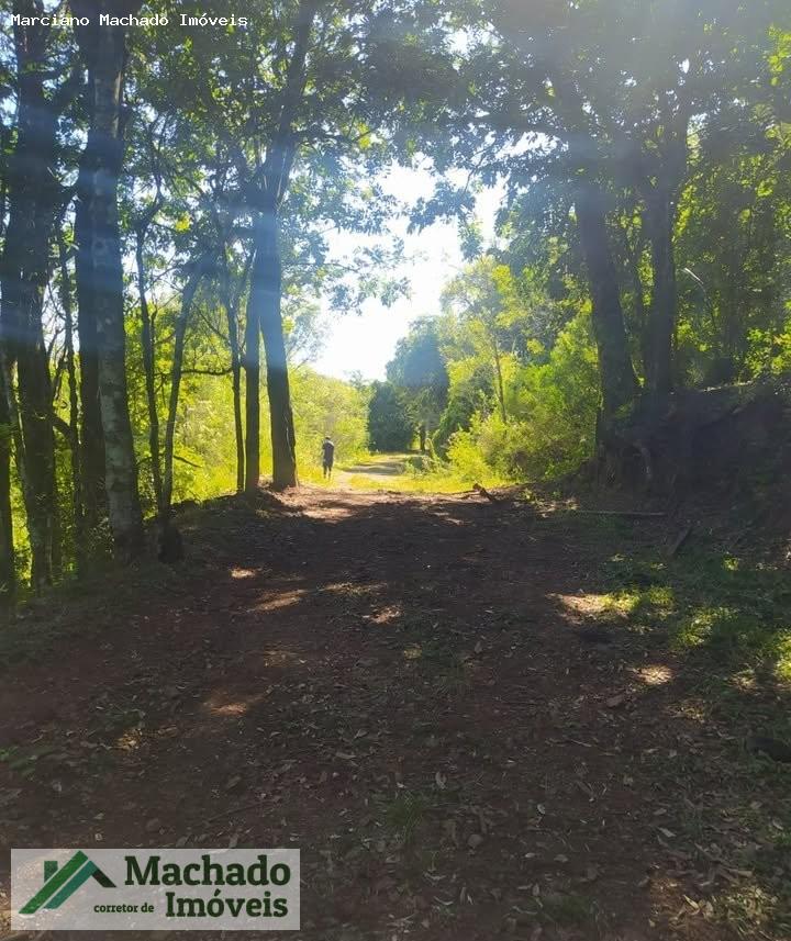 Fazenda à venda, 440000m² - Foto 11