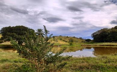 Fazenda à venda com 3 quartos, 110000m² - Foto 9