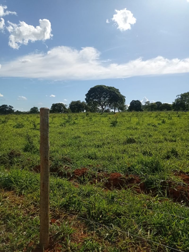 Fazenda à venda, 250m² - Foto 19