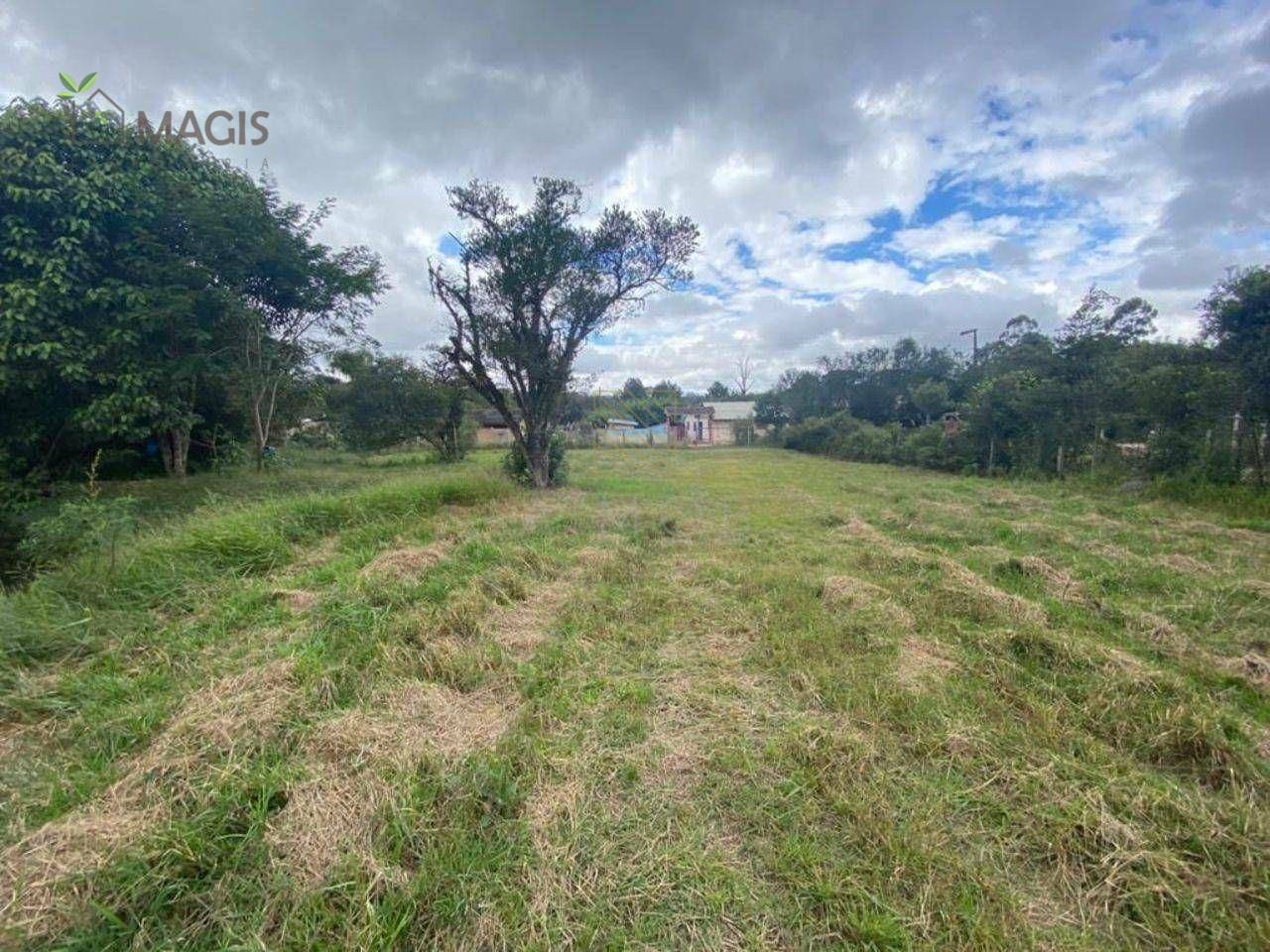 Chácara à venda e aluguel com 2 quartos, 8518M2 - Foto 11