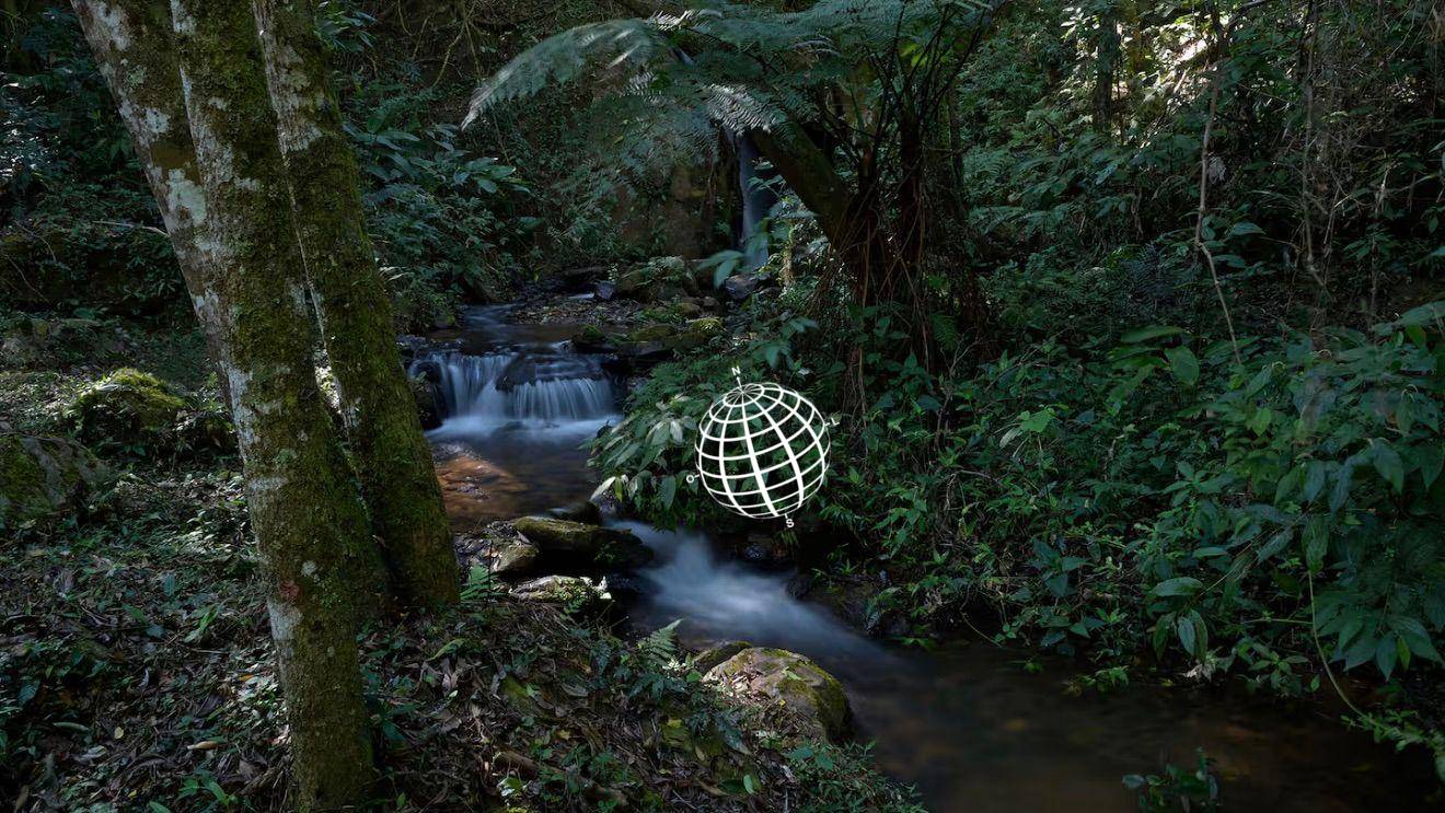 Sítio, 4 quartos, 80 hectares - Foto 3