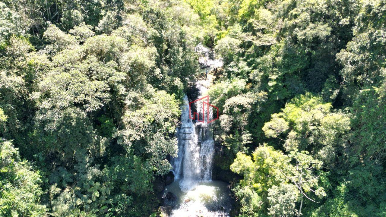 Sítio, 4 quartos, 37 hectares - Foto 4