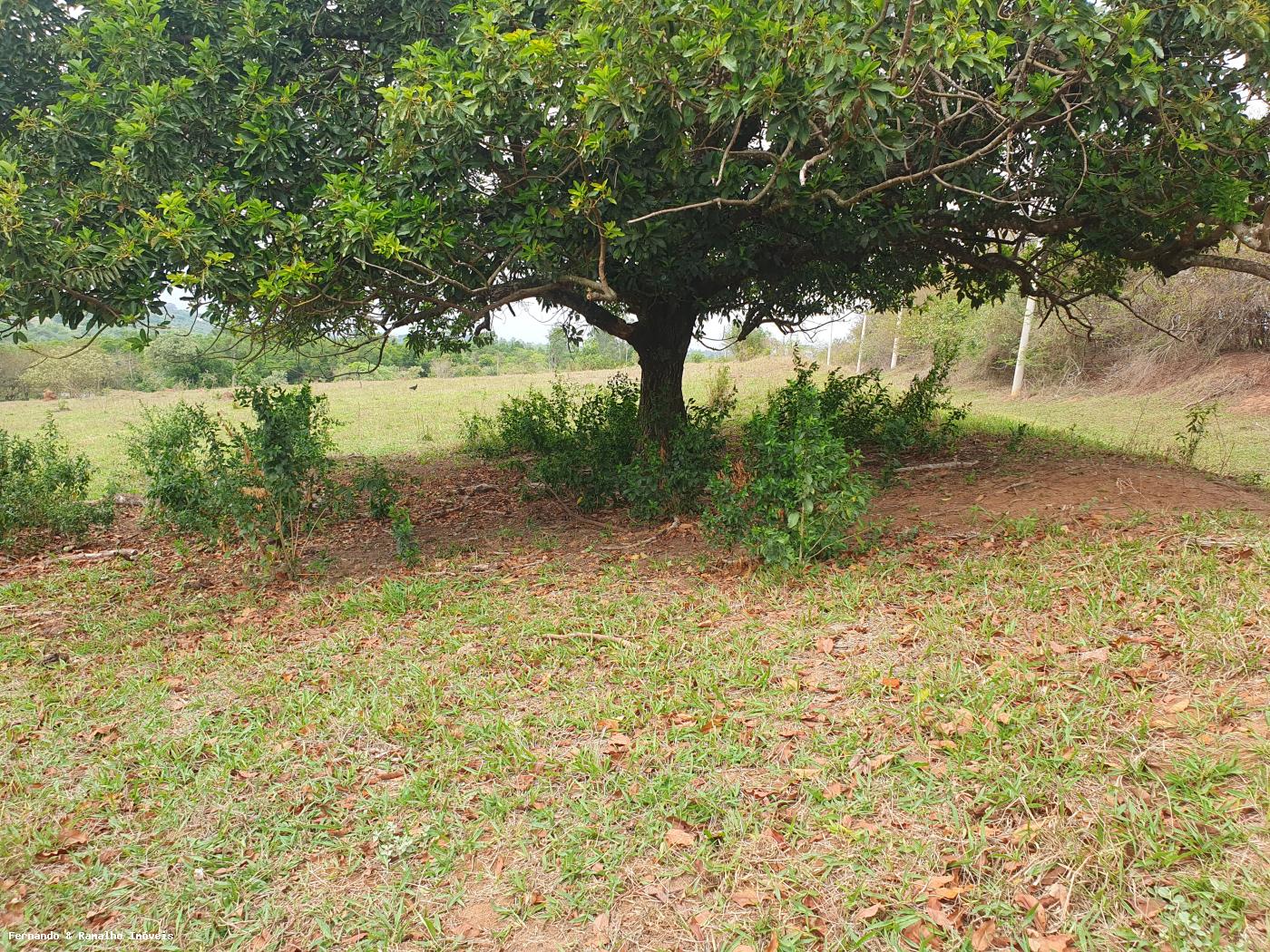 Fazenda à venda com 3 quartos, 80000m² - Foto 25