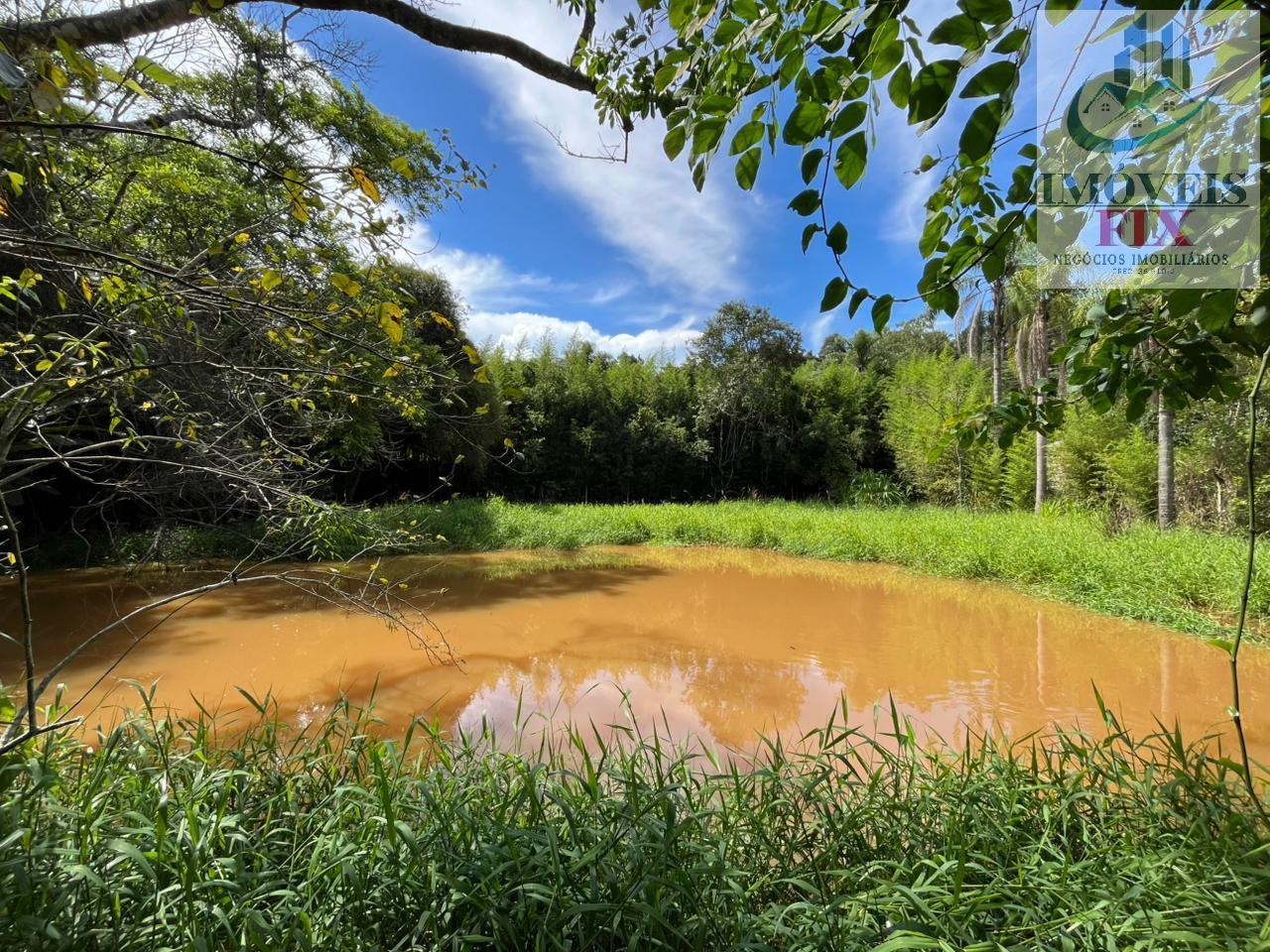 Fazenda à venda com 4 quartos, 200m² - Foto 43