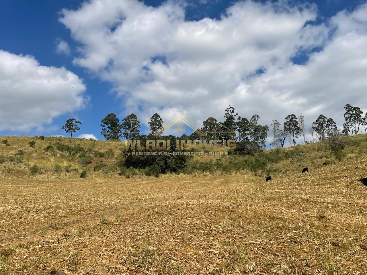 Fazenda à venda, 220m² - Foto 28