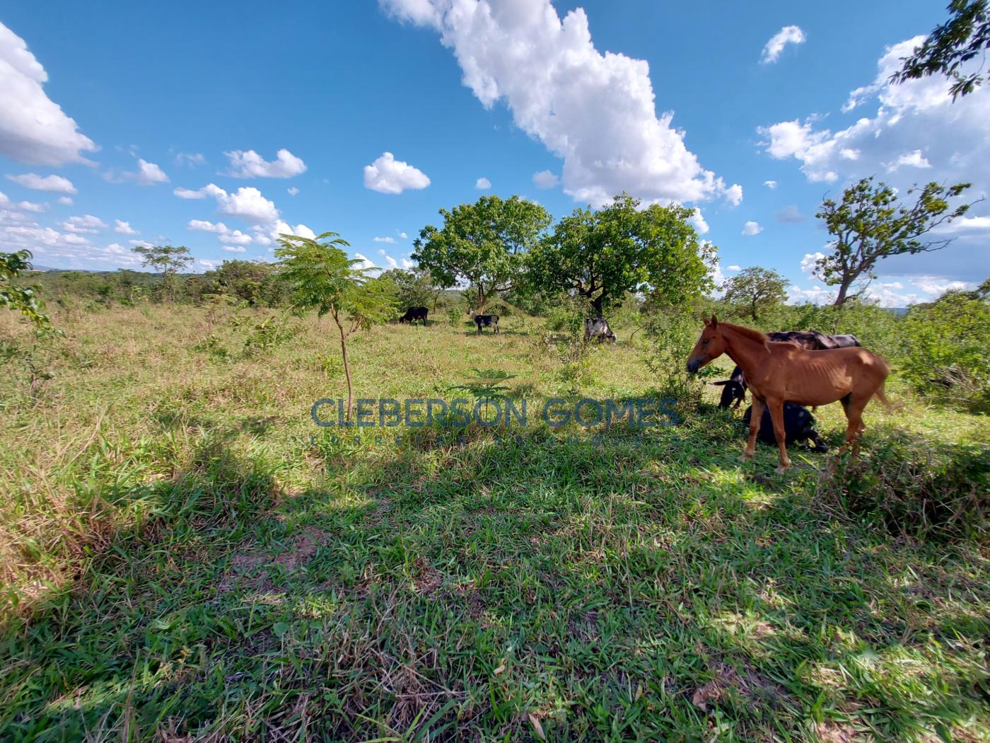 Chácara, 5 hectares - Foto 3