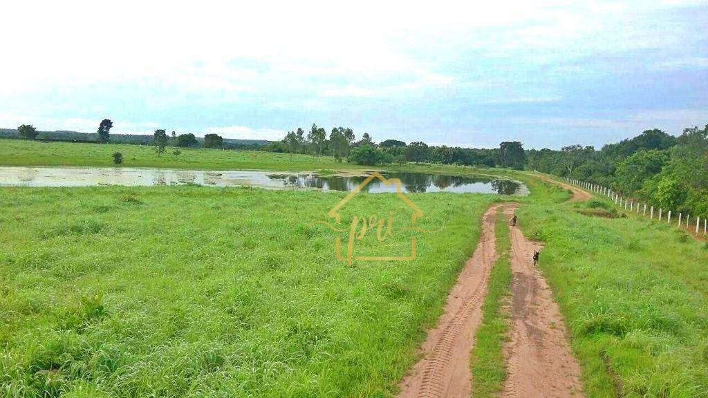 Fazenda à venda com 3 quartos, 250m² - Foto 30