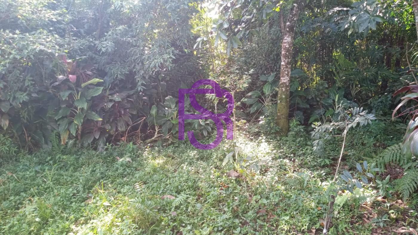 Chácara, 3 quartos, 1495 m² - Foto 13