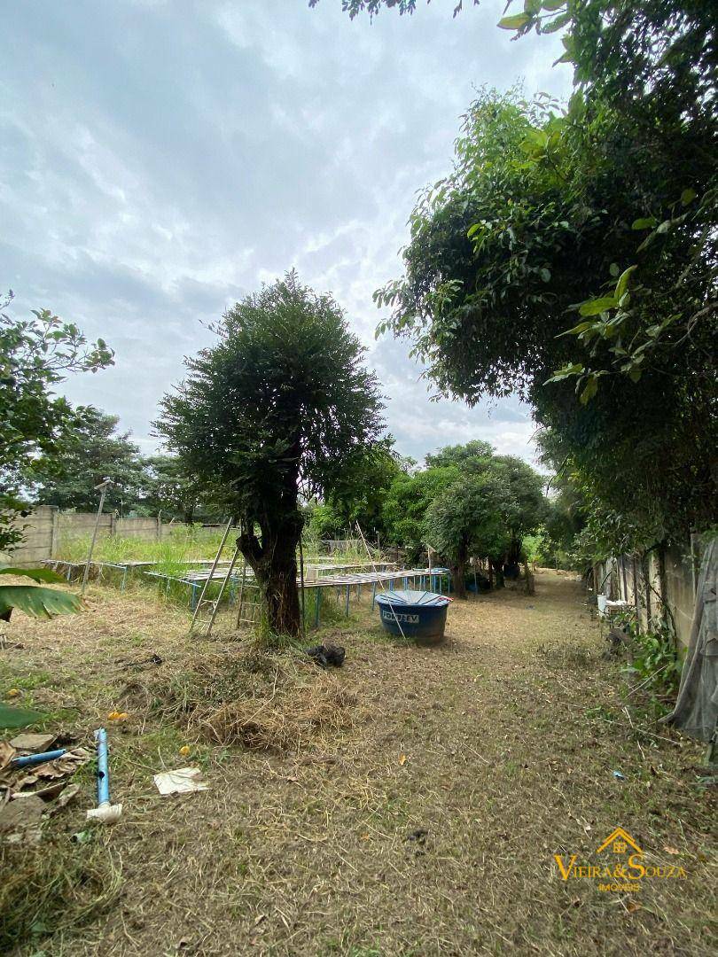 Chácara à venda com 3 quartos, 2010M2 - Foto 13