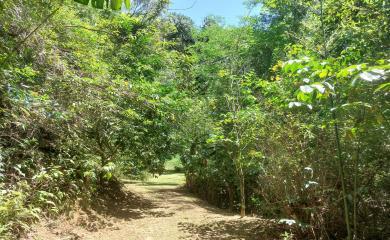 Fazenda à venda com 3 quartos, 100000m² - Foto 11