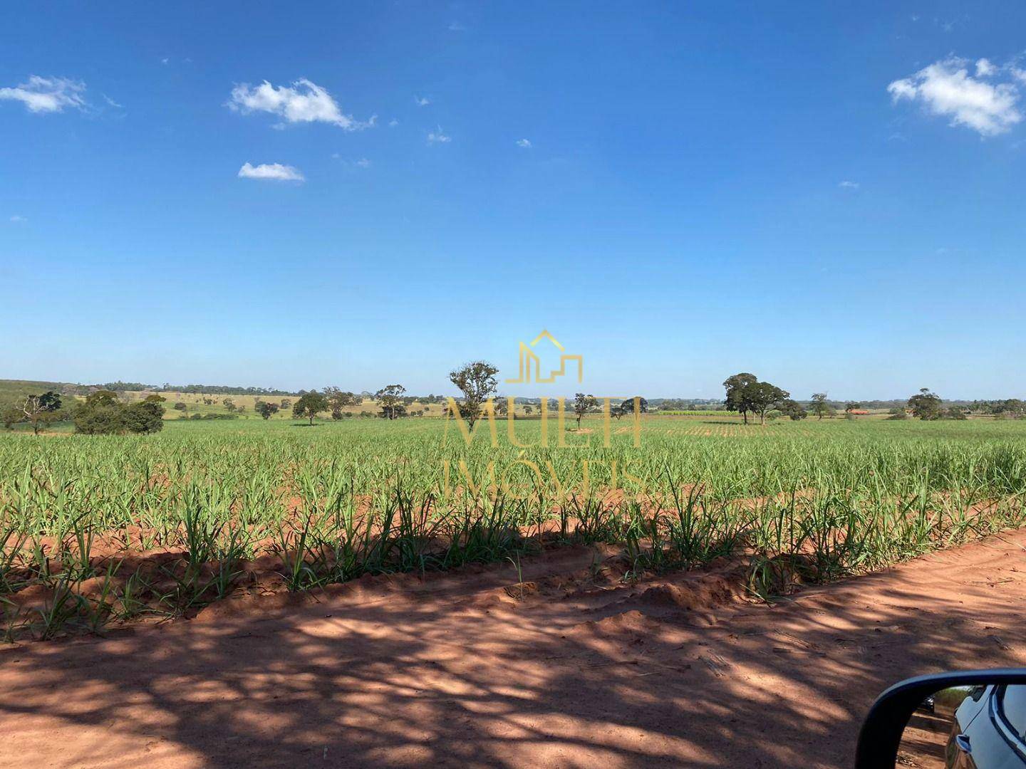 Fazenda à venda com 3 quartos, 556600M2 - Foto 6