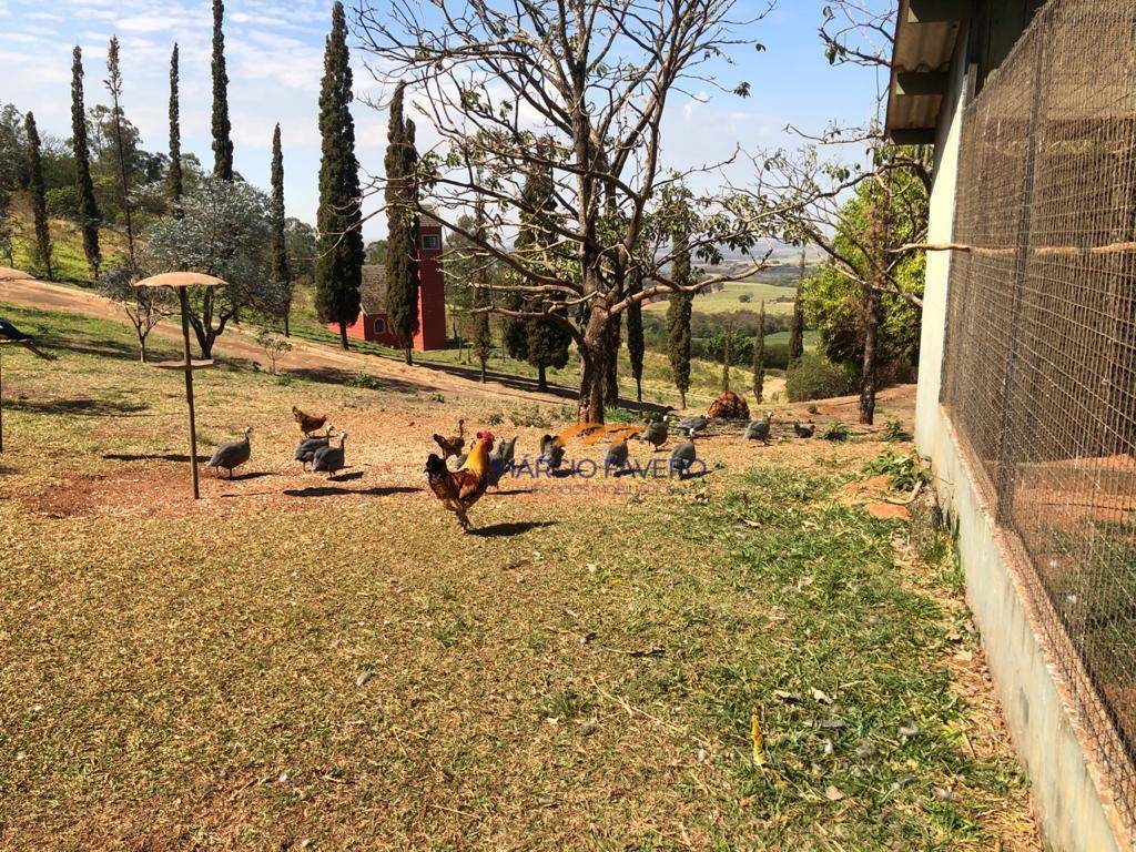 Haras e Área Rural Padrão à venda, 193600M2 - Foto 17