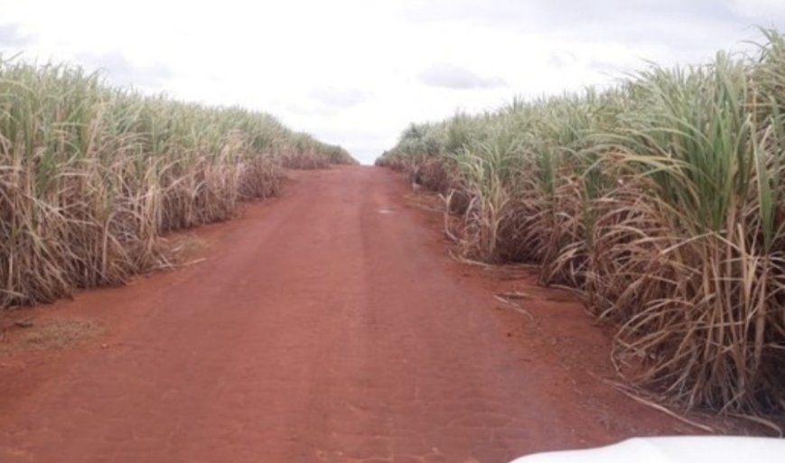 Fazenda-Sítio-Chácara, 697 hectares - Foto 5