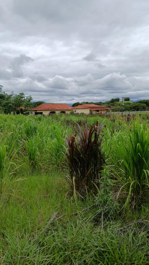 Fazenda à venda com 4 quartos, 19m² - Foto 19