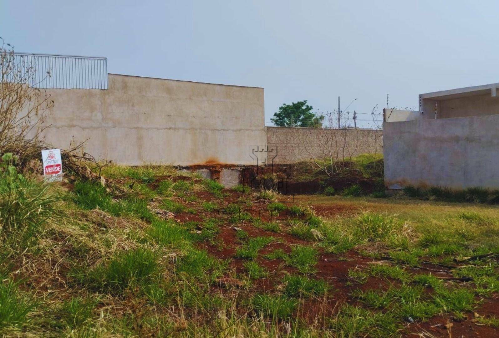 Terreno, 250 m² - Foto 1