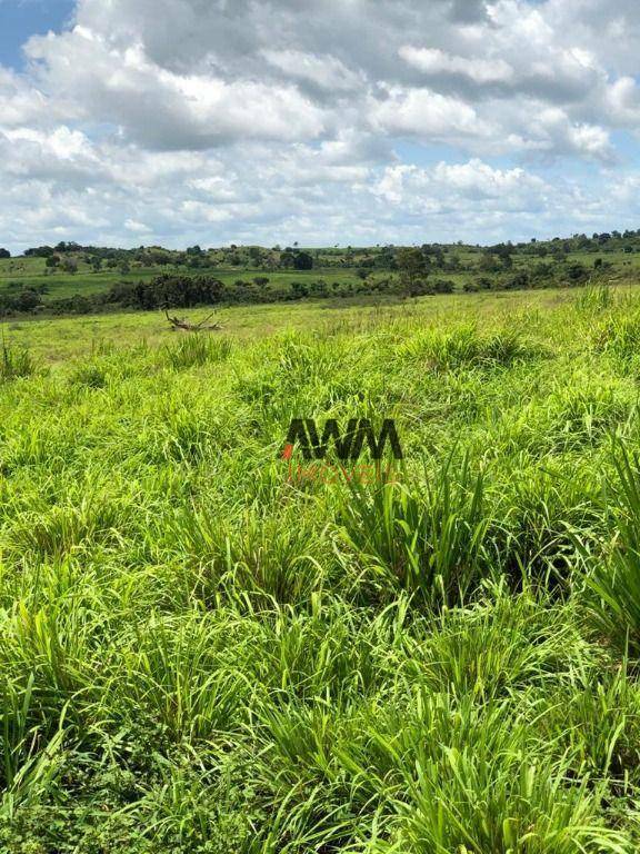 Fazenda à venda, 51691200M2 - Foto 4