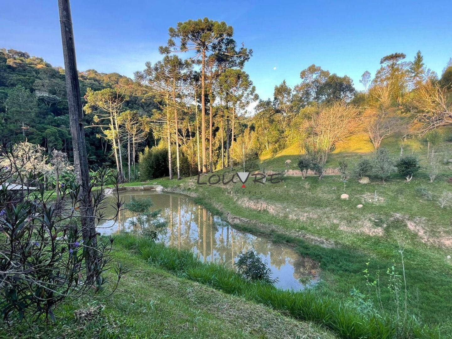 Sítio à venda com 3 quartos, 14000M2 - Foto 5