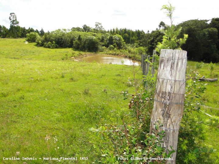 Fazenda à venda com 3 quartos, 160000m² - Foto 19